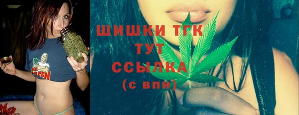 тгк Богданович
