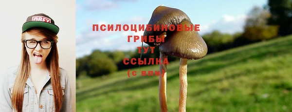 синтетический гашиш Богородицк