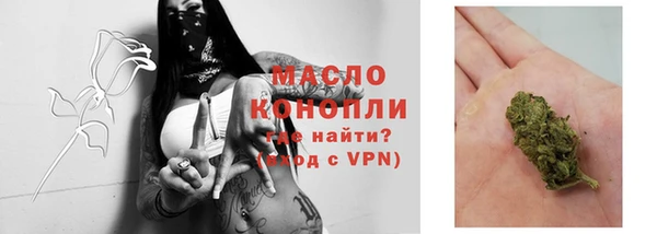 тгк Богданович