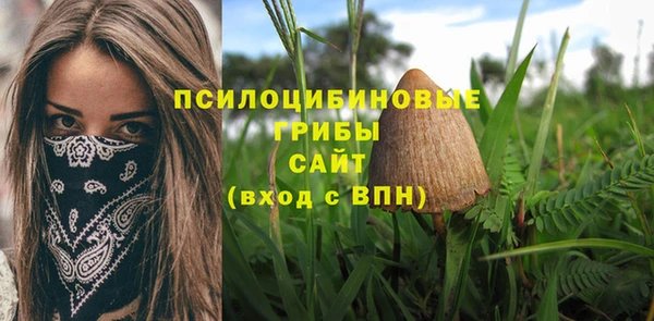 бутират Богородск