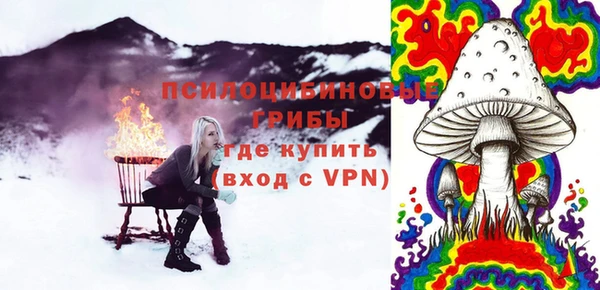 синтетический гашиш Богородицк