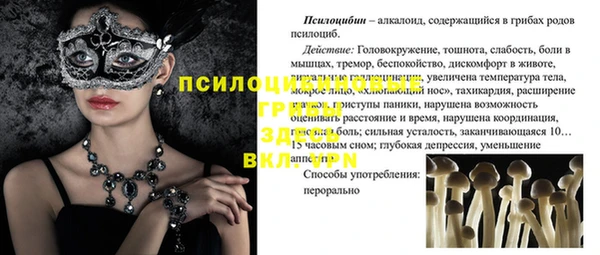 тгк Богданович