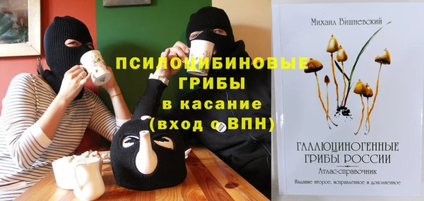 тгк Богданович