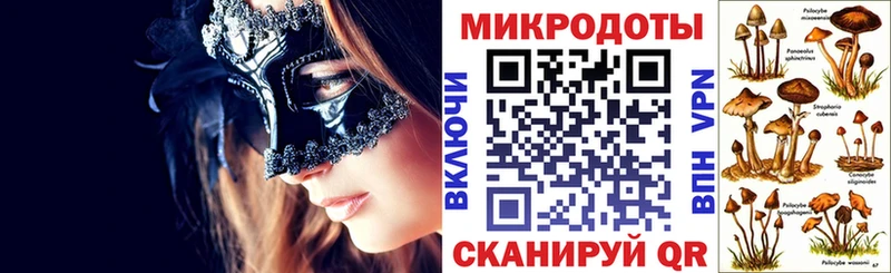 blacksprut   Тихвин  Псилоцибиновые грибы MAGIC MUSHROOMS  где найти  
